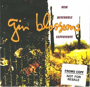 Gin Blossoms - New Miserable Experience