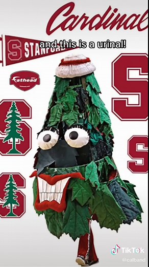 Stanford University Mascot: Why is it a Tree?