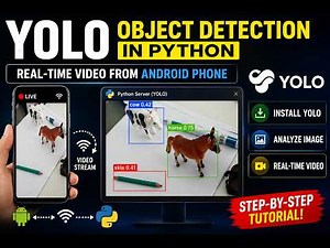 YOLO Object Detection in Python | Real-Time Video from Android Phone (Step-by-Step Tutorial)