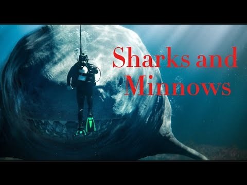Sharks and Minnows || Full Gameplay Walkthrough (No Commentary)