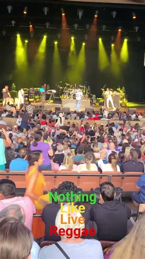 Reggae Live 102 -Maxi Priest #reggae #livereggae #youtubeshorts #viralshorts #reggae #dj #maxipriest