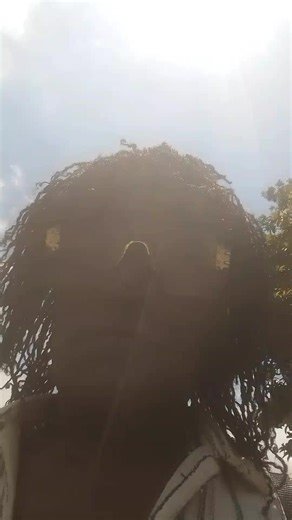 bella saw (@bella.saw5)’s videos with original sound - bella saw