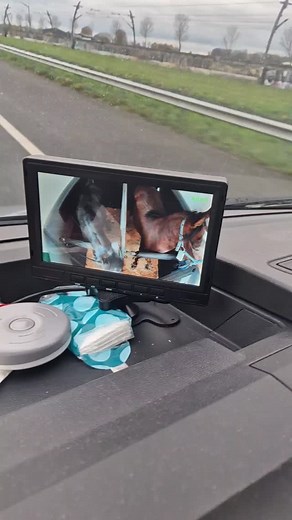 Freddy Geraedts on Reels