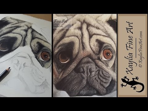 Tutorial: how to draw soft short fur in coloured pencils