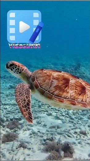 VideoDrift - Online Video Editor