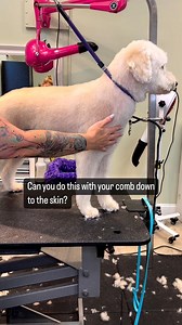 Want to know what a perfectly groomed doodle looks like? Let #ANDISGROOMING Global Educator @chicagogroomer show you! Talk about grooming goals. 🤩 #ProTip for pet parents 👉 you know your dog is properly brushed when you use a comb, positioned to the skin, and it perfectly glides through. ✨ #groomingtools #groomingtips #doodletips https://bit.ly/Andis-SmallAnimalProducts | Andis Grooming