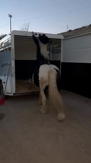 Nancy J Patton on Reels