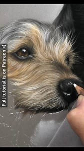 1.3K views · 40 reactions | Drawing realistic pastel drawings can be...