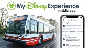 Redesigned My Disney Experience App Launches with New Features Including Bus Wait Times | Chip and Company