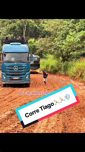 Bitelo e a Carreta: Aventura no Ônibus