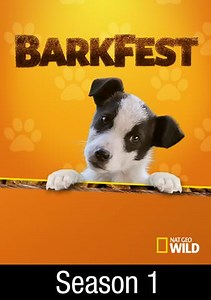 BarkFest: Super Underdogs