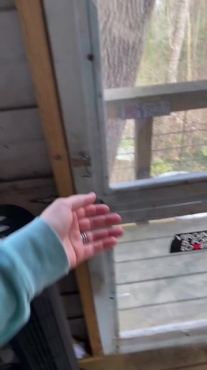 Trailside Treehouse Tour part 5 #housetour #treehouse #lifeinatree #glamping #coolairbnb