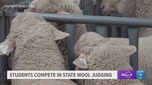 Grape Creek students to compete in state wool judging competition