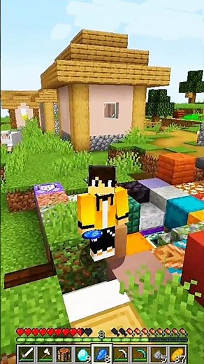 Minecraft But Everything I Touch Convert Into Random Block... #minecraft #shorts