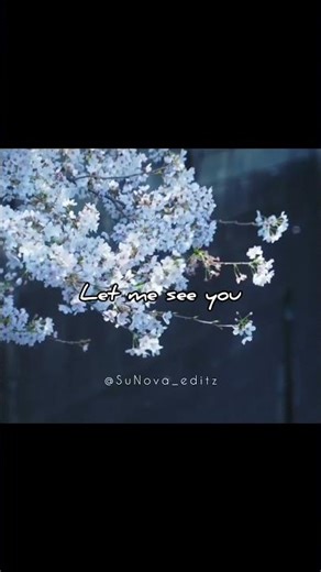 We always got Love...🌸🩷 #shorts #music #bts #lyrics #trending #viral #fyp #jhope #aesthetic #jimin