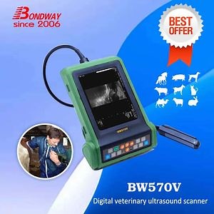 [Hot Item] Veterinary Ultrasound Scanner Handheld Vet Reproduction Ultrasound