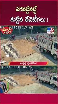 iSmart News: Bees sting like a snake! | Honey Bees - TV9