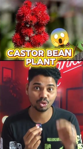 Castor Bean #shorts #viralshort #facts