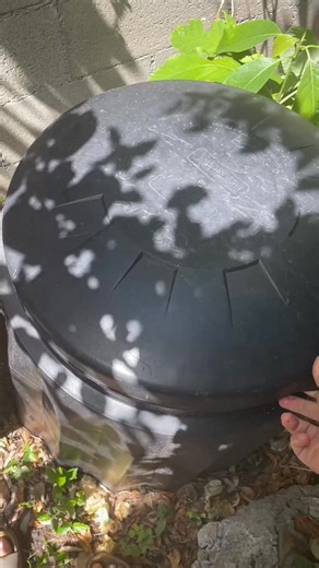 Does this look like your compost bin? 👀 These problems are very common with composting bins - but here’s how to fix them! Got a stinky bin? 🤢 ✅ Add in more dry material and mix and aerate the soil well - think newspaper, dry leaves or cardboard. Spot some ants or pests? 🐜🪳🐀 ✅ Add in more ‘greens’ like fruit and veggie scraps, green garden clippings and a little water. Keep the lid closed and make sure the contents are damp like a wrung-out sponge. If you’re noticing signs of rats, put some 