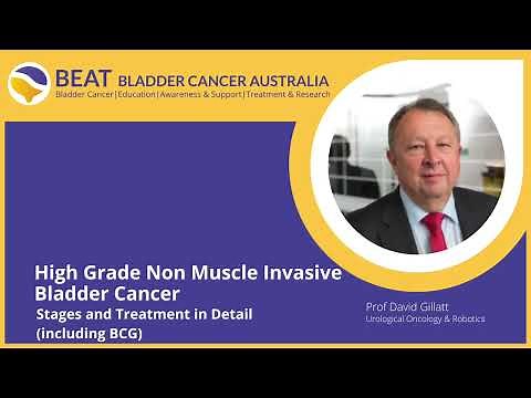 High Grade Non Muscle Invasive Bladder Cancer: Stages and treatment including BCG