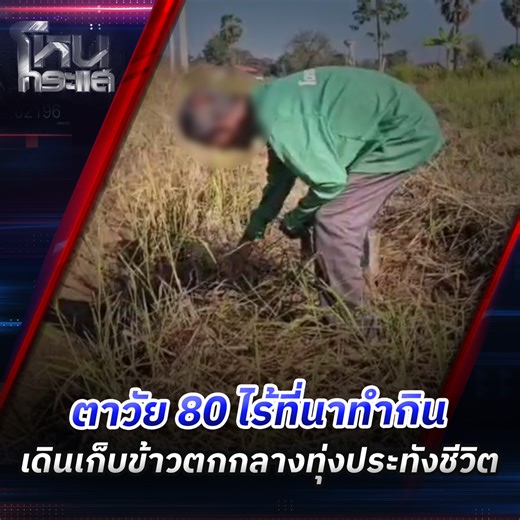 คุณตาวัย 80 ปี ไร้ที่ทำกิน มีเพียงรายได้จากเบี้ยผู้สูงอายุ แม้สุขภาพไม่ดี แต่ก็ต้องออกตระเวนเก็บเศษรวงข้าว ที่ตกตามทุ่งนา หล่นเหลือจากการเก็บเกี่ยว มาสีเป็นข้าวสารประทังชีวิต #สู้ชีวิต #เก็บข้าวตก #สุรินทร์ #โหนกระแส | โหนกระแส