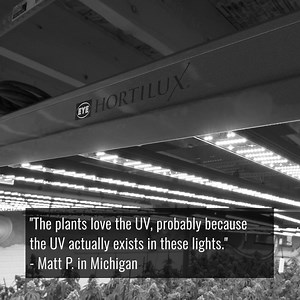 558 reactions · 71 shares | Grow Beyond PAR | EYE Hortilux | Facebook