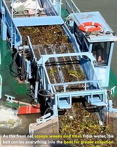 832K views · 1.6K reactions | River Trash Collected With Machine #RiverCleaning #WaterCleanup #WasteRemoval #EcoMachine #CleanWaterAction | Deep Dive News | Facebook