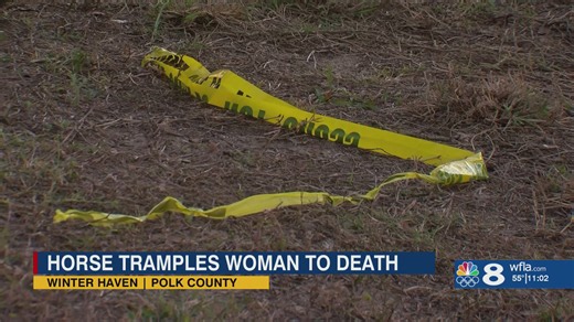 Winter Haven woman trampled to death by neighbor's horses she regularly fed: police