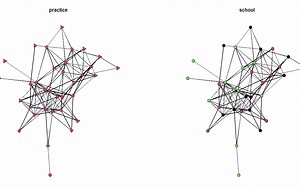 【学术版】R论文写作！STATNET网络描述实战