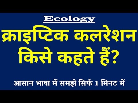 Cryptic Coloration (क्राइप्टिक कलरेशन) किसे कहते हैं? | Camouflage in Animals 🦎