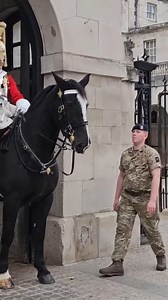 Aggresive Horse Gets Help From Soldier ___________________ #shorts #reelsviral #reelsinstagram #reelitfeelit #reels2023 #reelsvideos #reelsforyou #reelsfb #reelsoftheday #reelsfypシ #fyp #foryou #foryoupage #AmaZing #amazingvideo #Amazon #Trend #trendingnow #trendingvideos #trendingreels #trendingpost #horse #guards #london #usareels #usa #followforfollowback #followers | Guard of London