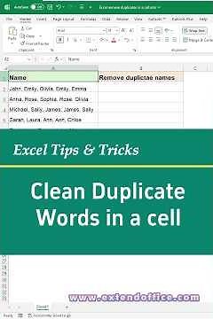 Remove Duplicate Items in a Single Excel Cell – Quick Trick