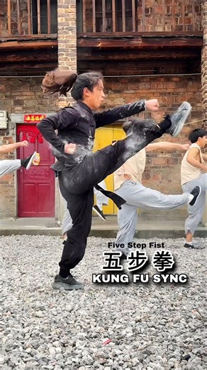 Wubuquan Kung Fu⚡Synchronized Power & Lightning Kicks