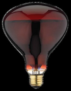 Ampoule à incandescence à culot E26 à intensité variable pour lampe à infrarouge NOMA R40, 565 lumens, rouge, 250 W | Canadian Tire