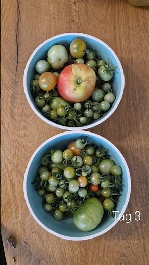 Tomaten schneller nachreifen? 🍅🍎 Unser Apfel-Test im Zeitraffer