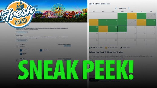 Sneak Peek at Disneyland Reservation system