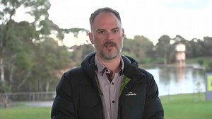 Modelling shows toxic South Australia algal bloom could spread further