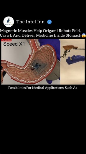 Magnetic Muscles Help Origami Robots Fold, Crawl, And Deliver Medicine Inside Stomach ! 🤖😱 #Robotics