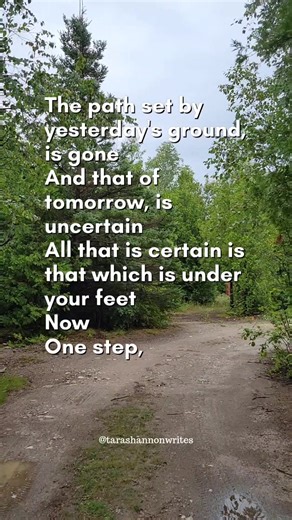 7.5K views · 507 reactions | The path set by yesterday's ground, is...