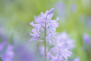 How to capture a double exposure