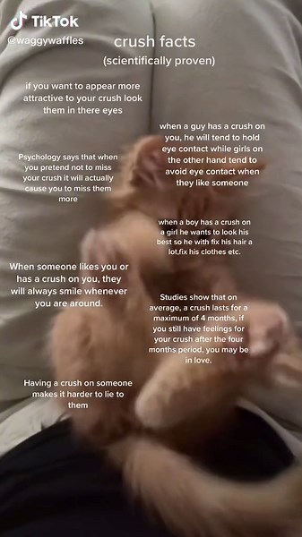 Crush Facts Explained: Scientifically Proven Psychology Insights