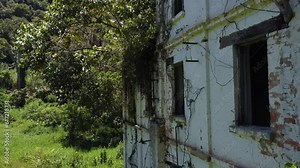 Nature fighting back camera rising up along the side wall of old factory building with plants growing in the walls showing the decay aerial Video