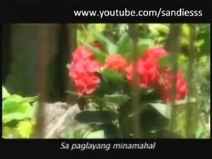 NET25 - NET25 Sign on and sign off [01-SEPT 2010]