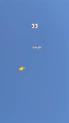 Look closely ?👀 #aviation #airoplane