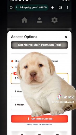 Tutorial de la key del native (duplicar peces en Fisch) #foryoupage❤️❤️ #parati #hack #discord #script #fish #fisch #foryou@Itz Erik🌀
