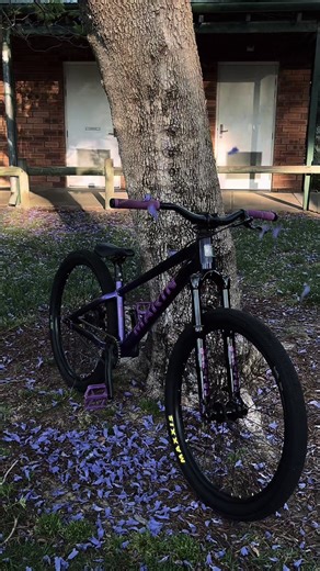 Old clips but clean edit #bike #marin #alcatraz #xyzbca #fyp