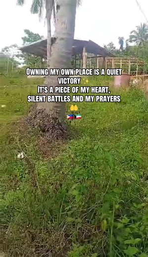 ISTQB Foundation Training Exam Open