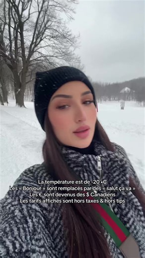 Understanding Montreal: Humorous Observations