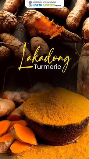 MDoNER on Instagram: "Meghalaya’s pride, Lakadong Turmeric—GI-tagged for its unmatched purity and curcumin! A spice that carries tradition, aroma, flavor, and wellness. #MDoNERIndia #LakadongTurmeric #Meghalaya #GItag #NorthEastIndia"