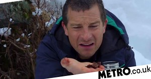 Netflix trolls Bear Grylls over eating poo on interactive show You vs Wild